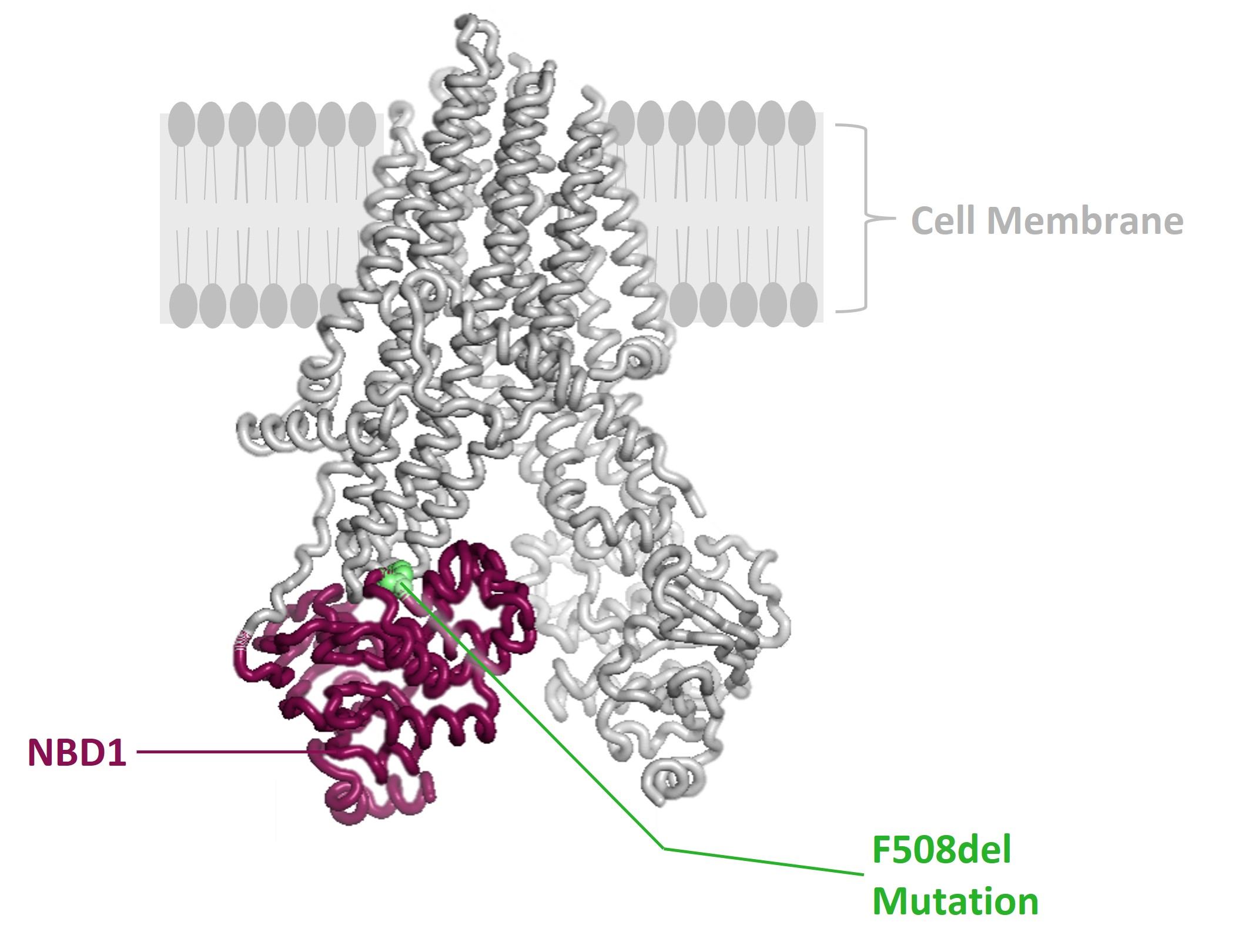 fig1a.jpg