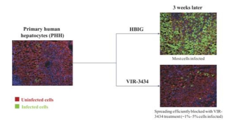 img62602283_5.jpg