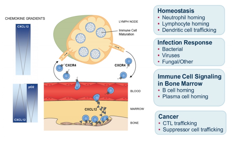 xfor-20201231_g1.jpg