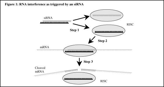 (GRAPH)