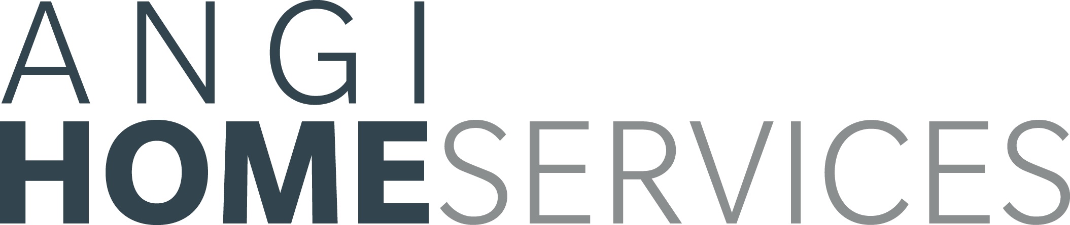 angi-20201231_g1.jpg