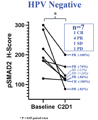 Figure 17.jpg