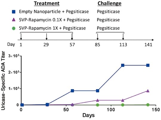 figure15.jpg