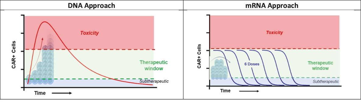 Graphic3.jpg