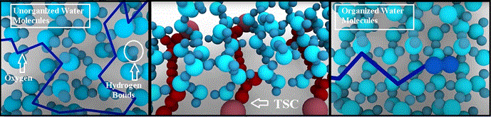 dffn20201231_10kimg004.gif