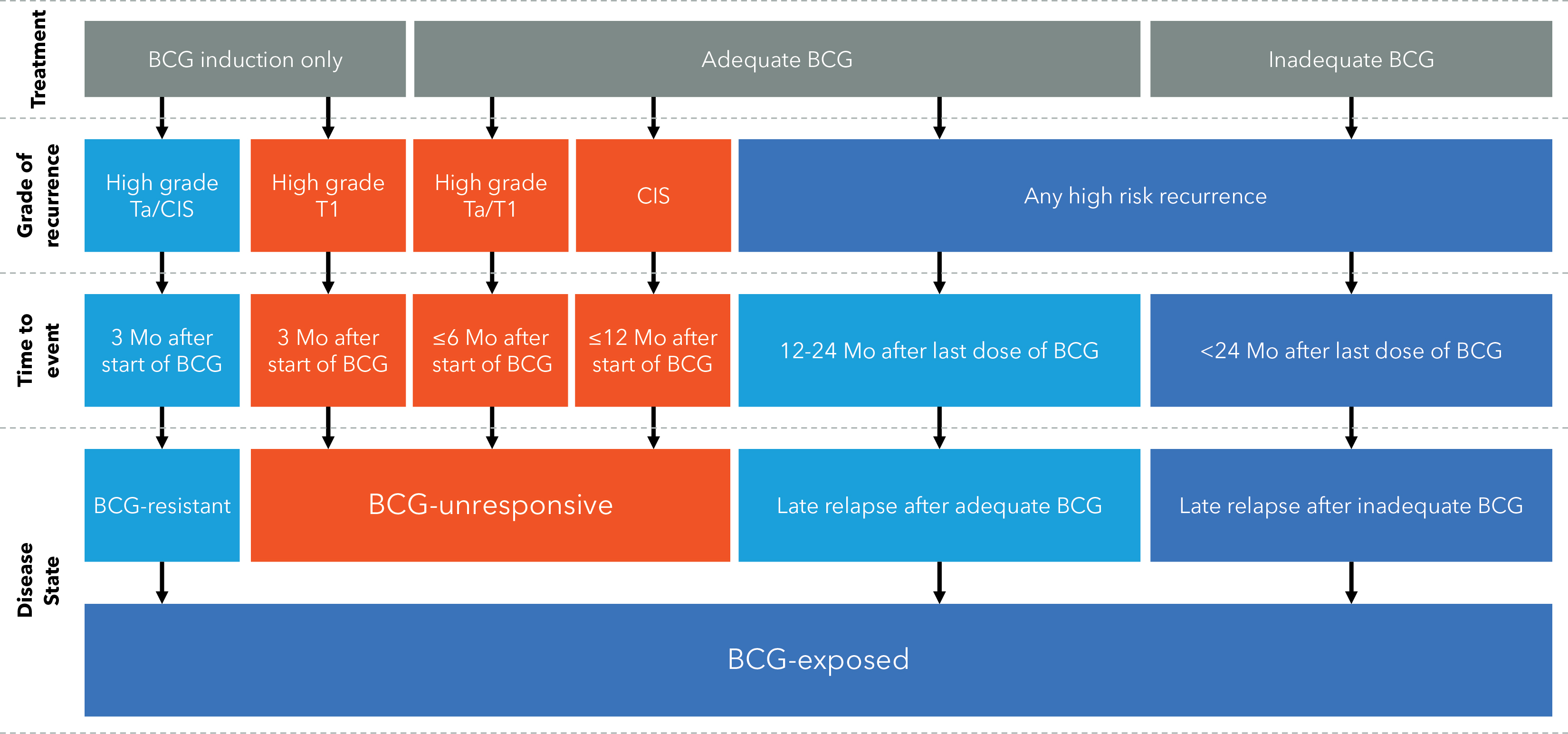 img12121904_3.jpg