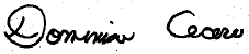 -s- Domenico Cecere