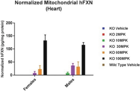 img131876768_2.jpg