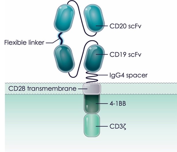 Figure 2_v1.jpg