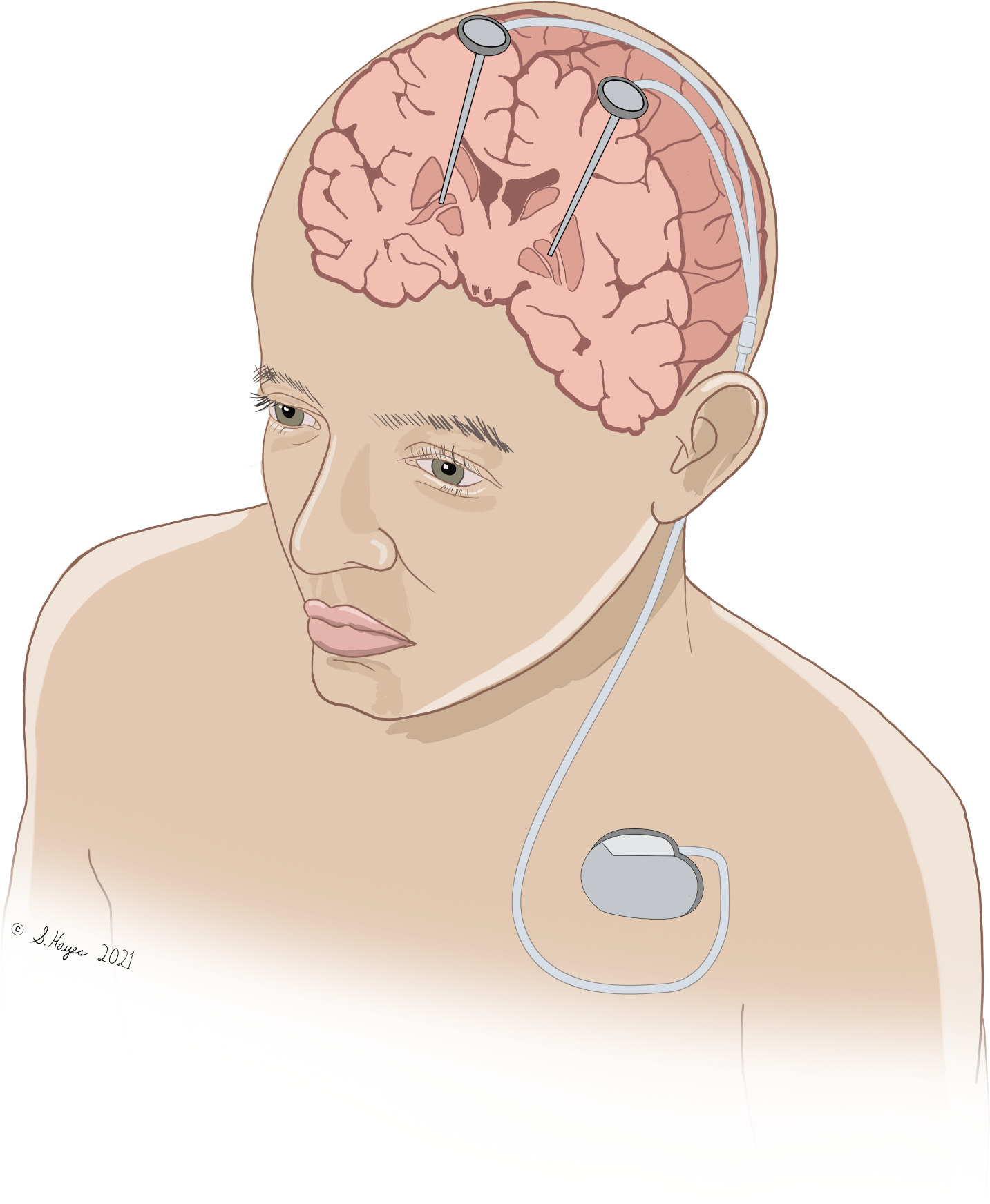 neurobusiness3a.jpg