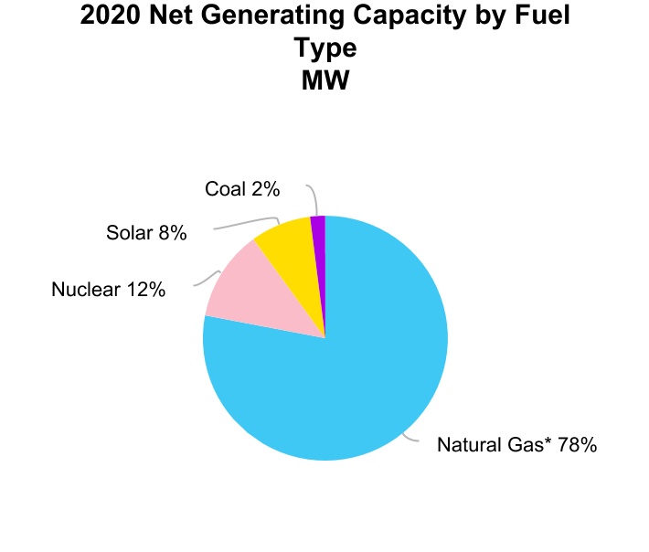 nee-20201231_g8.jpg