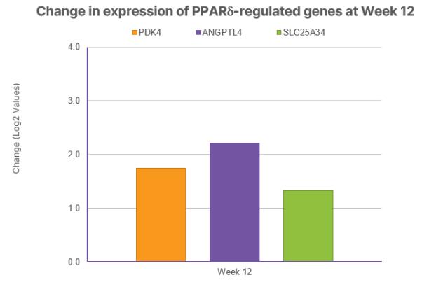 Chart, bar chart
Description automatically generated