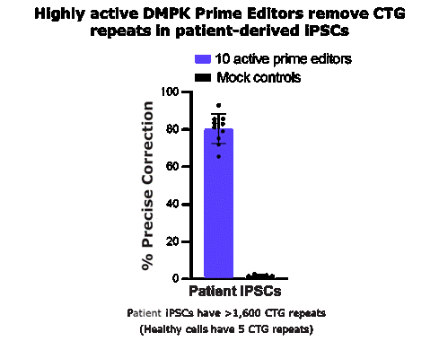 Image 19.gif