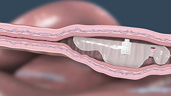 img173407487_2.jpg