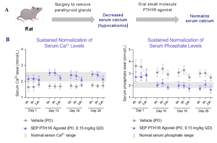 img117602972_3.jpg