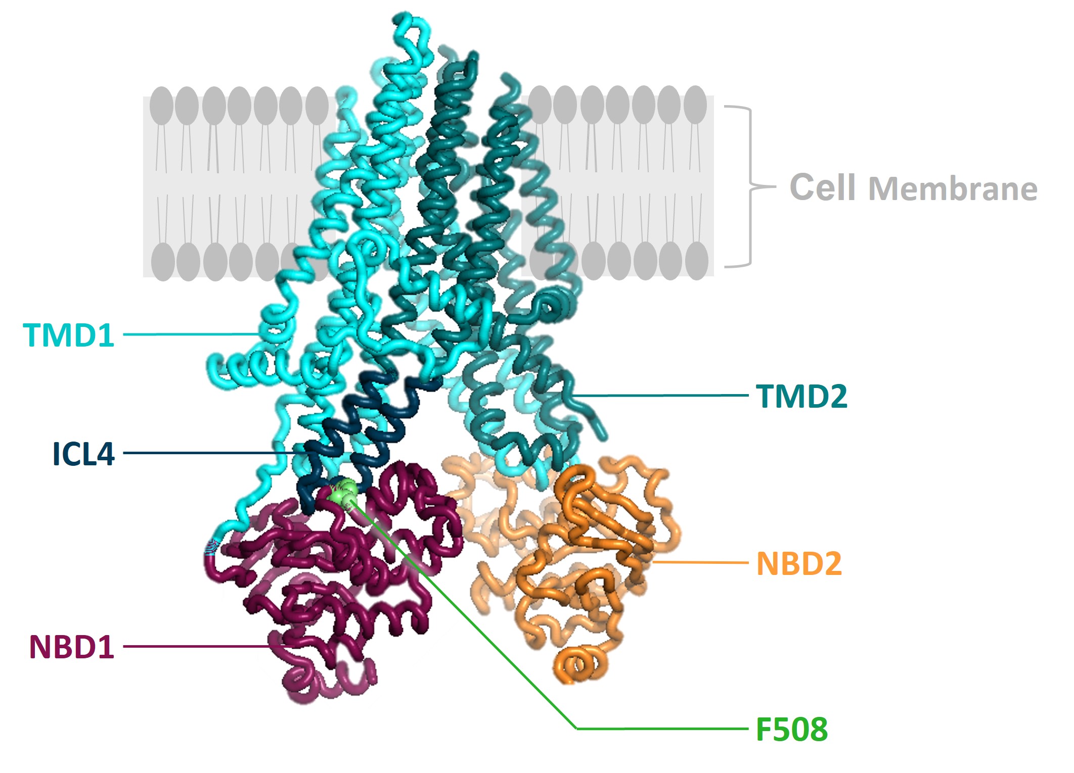 fig6.jpg