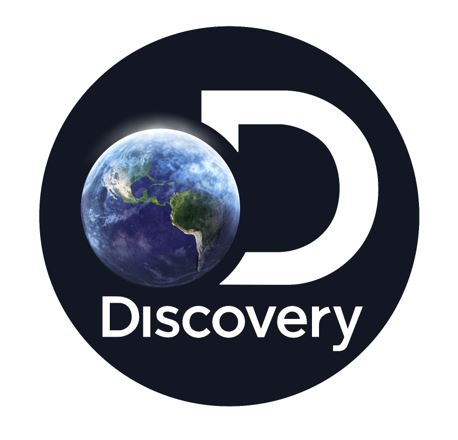 disclogobusinessoverview2017.jpg