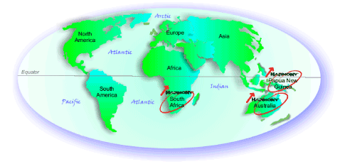 (MAP)