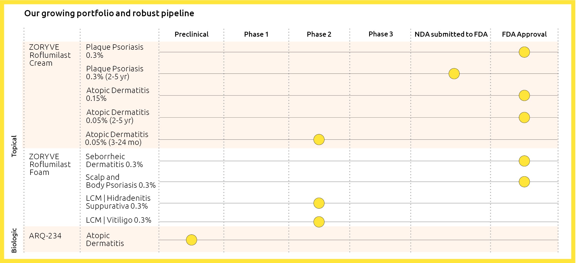 Pipeline Chart from Annual Report 2026FEB05.jpg