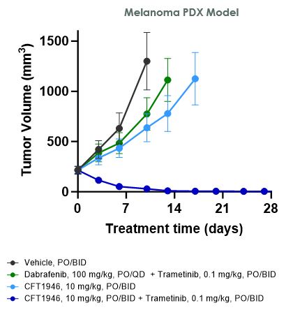 Melanome PDX.jpg