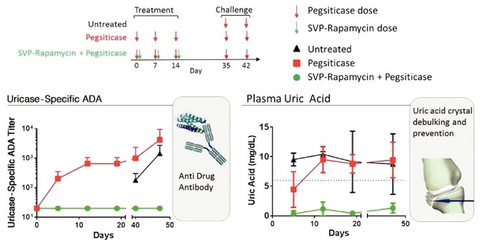 figure14.jpg
