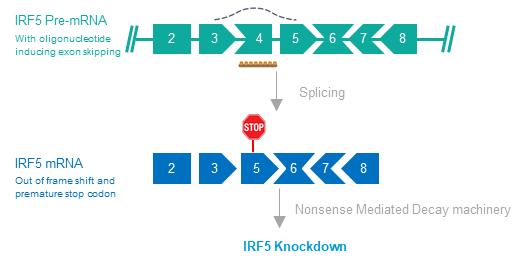 Diagram
Description automatically generated