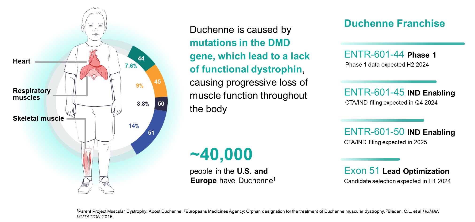 DMD Graphic.jpg