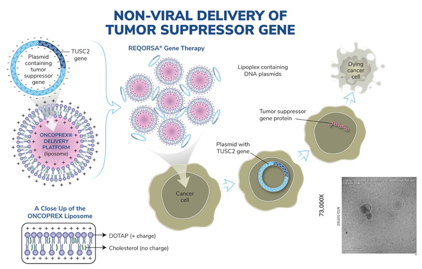 oncoprexdeliverysystem_09.jpg