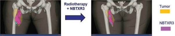 nbx-20211231_g9.jpg