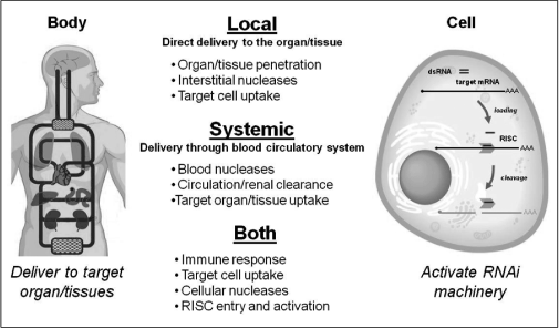 (FIGURE 5)