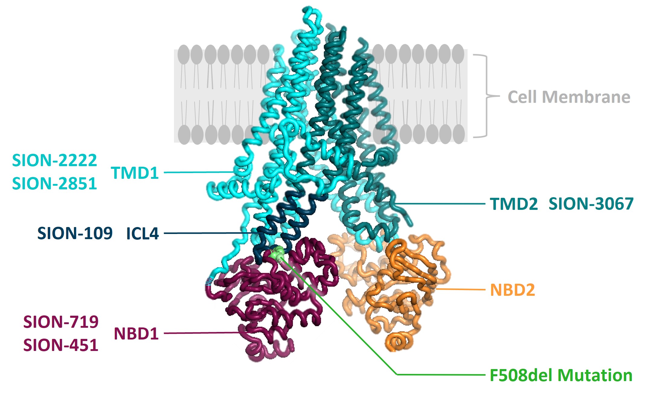 fig3v2.jpg