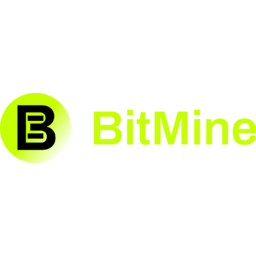 Bitmine Immersion Technologies Logo