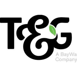 T&G Global Logo