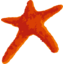 Lundbeck logo