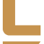 Lion Copper Corp. logo
