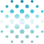 Rare Earths Americas logo