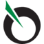 Lipocine Logo
