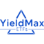 YieldMax AI & Tech Portfolio Option Income ETF logo