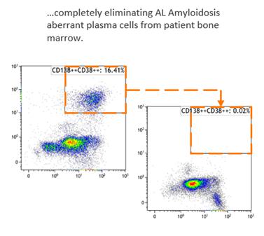 A screenshot of a graph
Description automatically generated