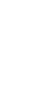 ing20f2021p100i6.gif