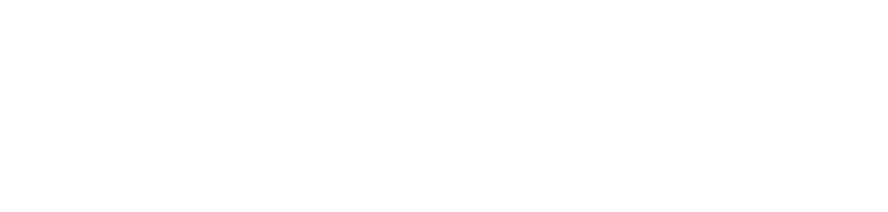 ing20f2021p96i16.gif