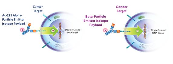 A diagram of a cell division Description automatically generated