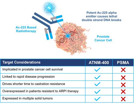 A diagram of cancer cells Description automatically generated