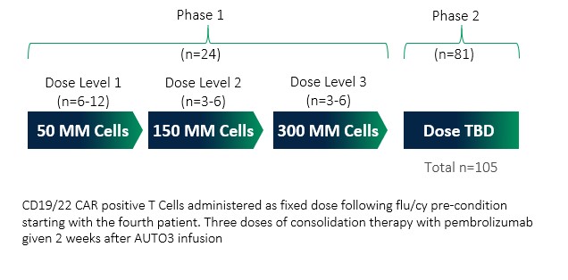 auto3phase1and2.jpg