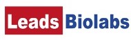 Leads Logo.jpg