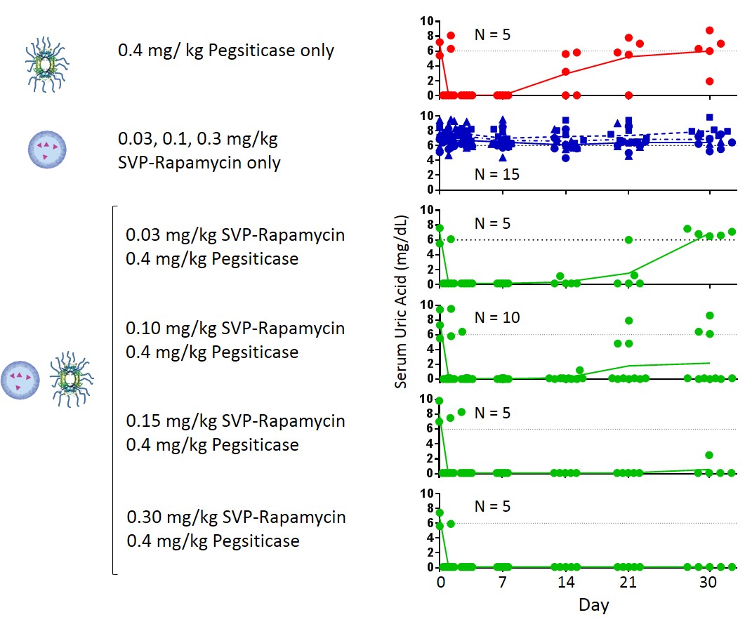 figure18.jpg