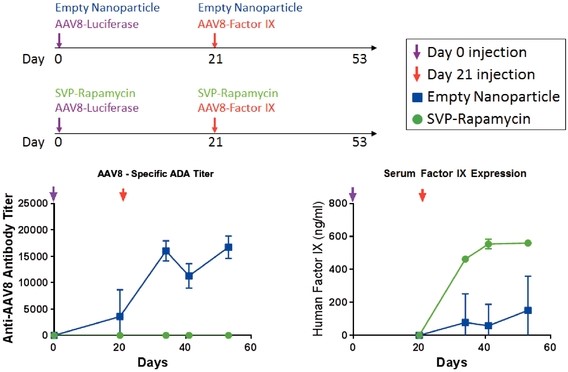 figure33.jpg