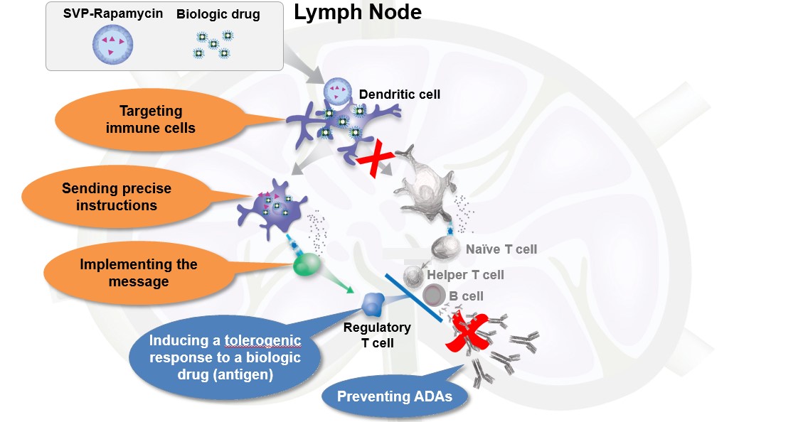 figure4a03.jpg