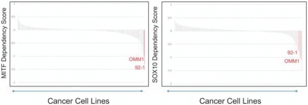 fhtx-20211231_g17.jpg