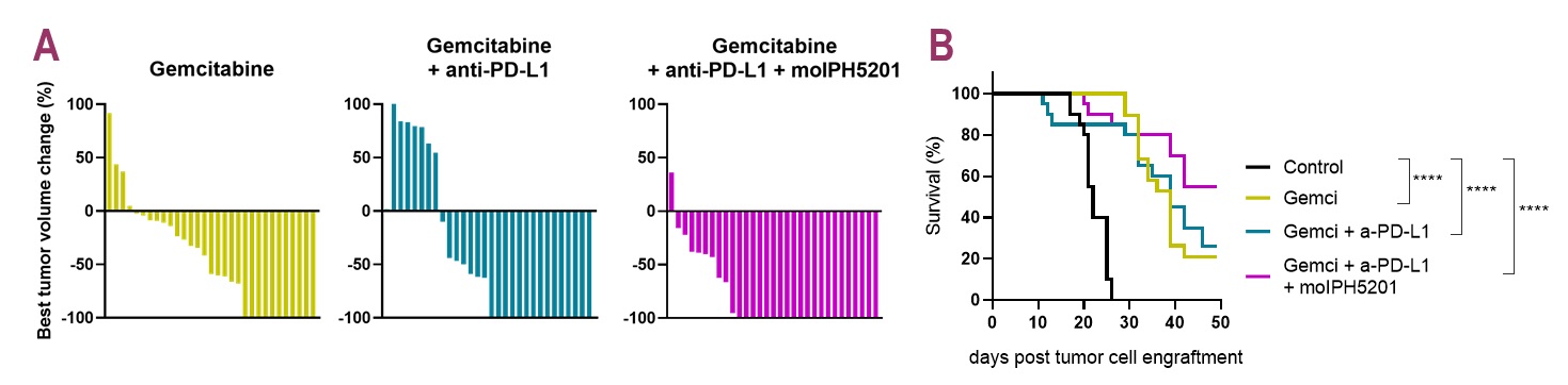 IPH5201 data 22.jpg